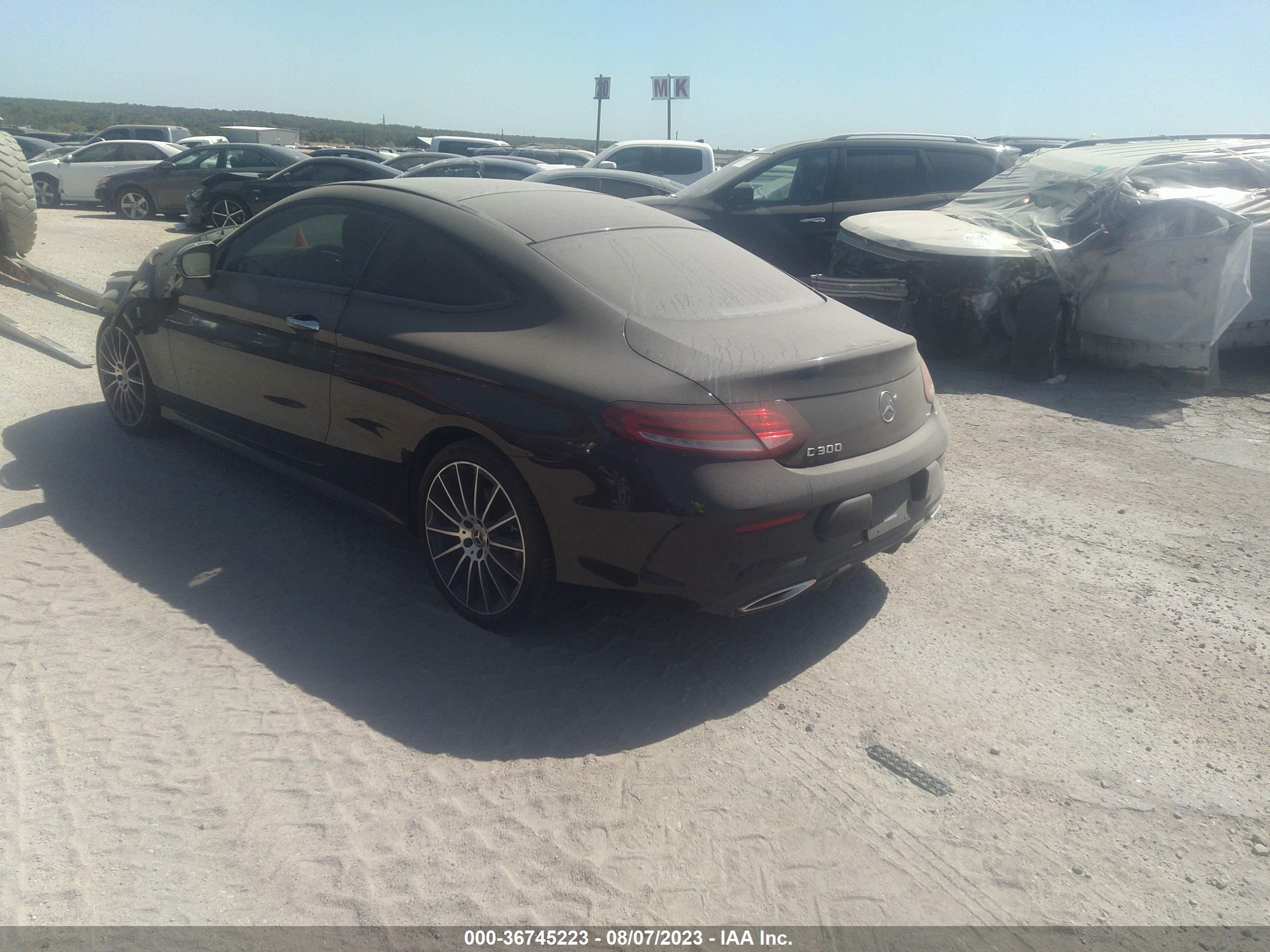 Photo 2 VIN: W1KWJ8DB4MG069651 - MERCEDES-BENZ C-KLASSE 