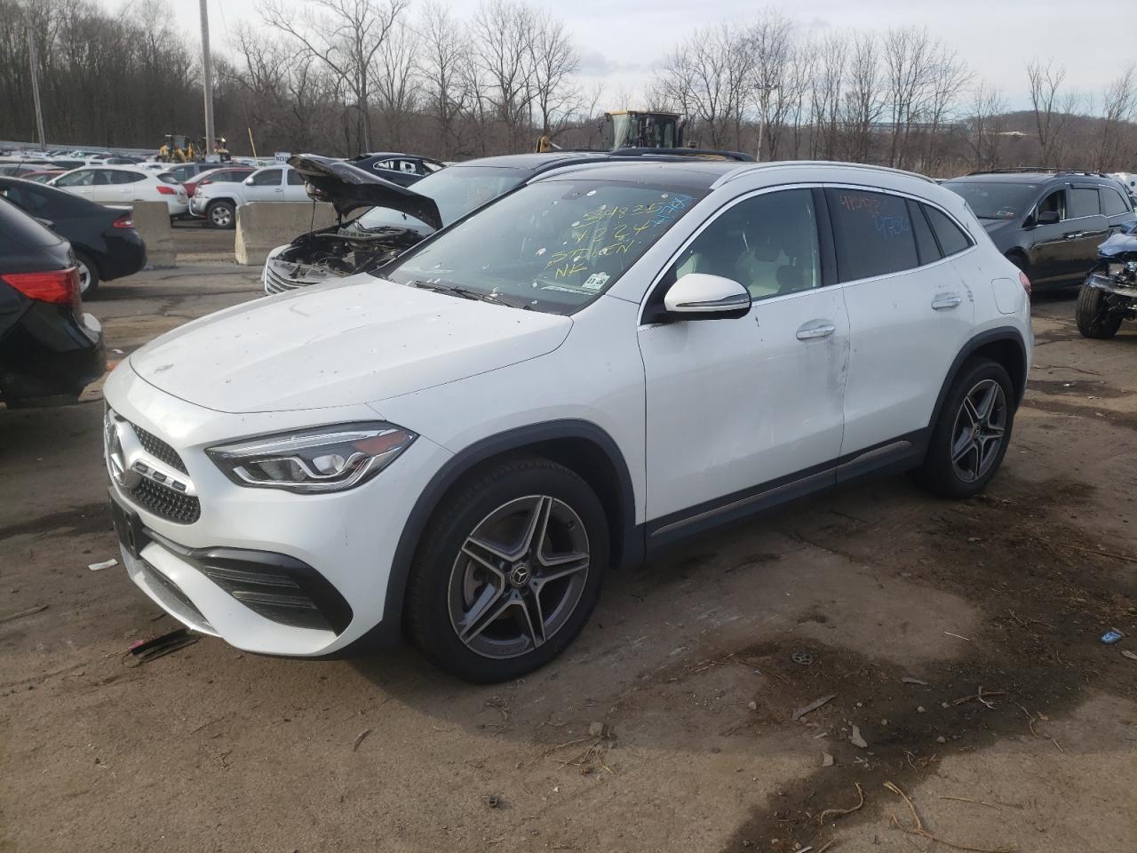 Photo 0 VIN: W1N4N4HB3NJ331049 - MERCEDES-BENZ GLA-KLASSE 