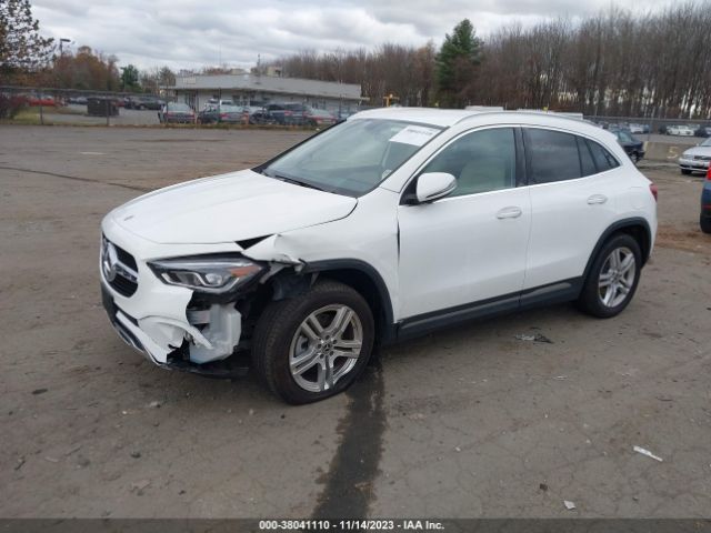 Photo 1 VIN: W1N4N4HB9MJ233867 - MERCEDES-BENZ GLA 250 