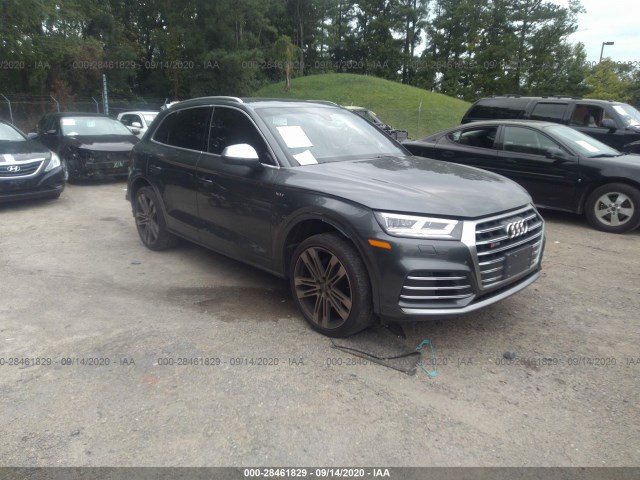 Photo 0 VIN: WA1A4AFY9J2008223 - AUDI SQ5 