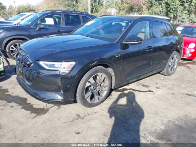 Photo 1 VIN: WA1AAAGE6NB029002 - AUDI E-TRON 