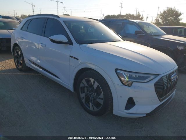 Photo 0 VIN: WA1AAAGEXMB013643 - AUDI E-TRON 