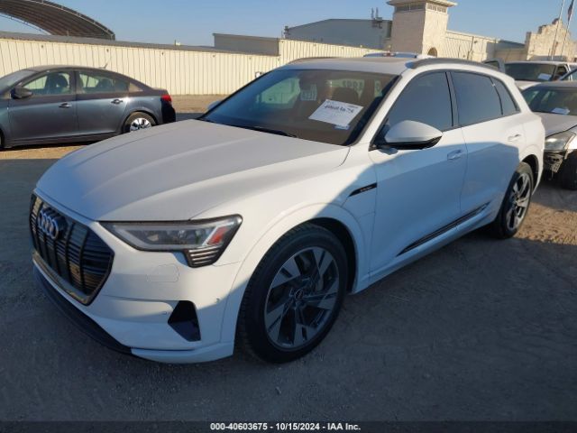 Photo 1 VIN: WA1AAAGEXMB013643 - AUDI E-TRON 