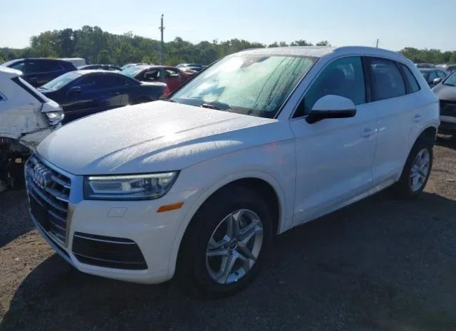 Photo 1 VIN: WA1ANAFY1K2138981 - AUDI Q5 