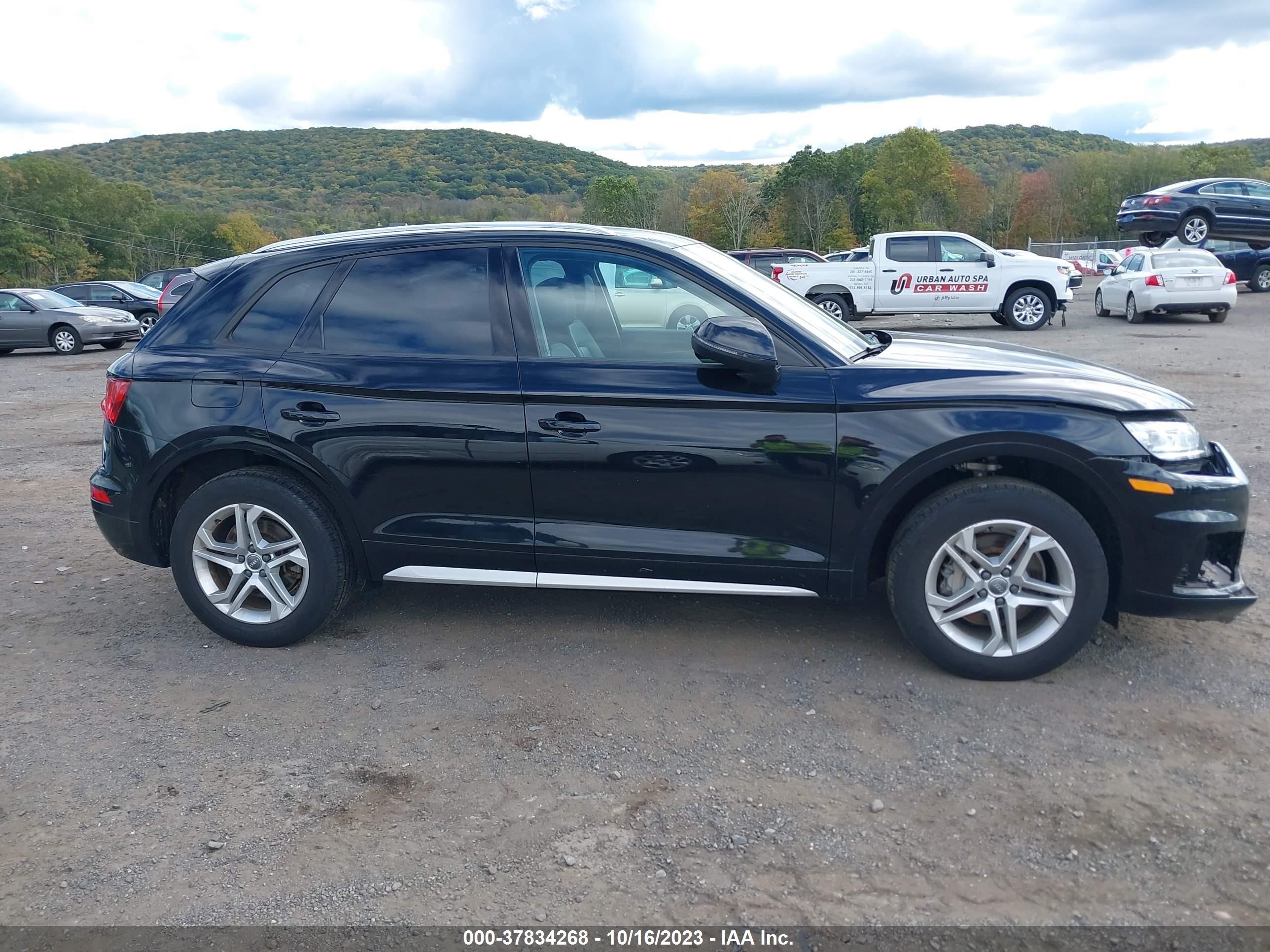 Photo 12 VIN: WA1ANAFY8J2108858 - AUDI Q5 