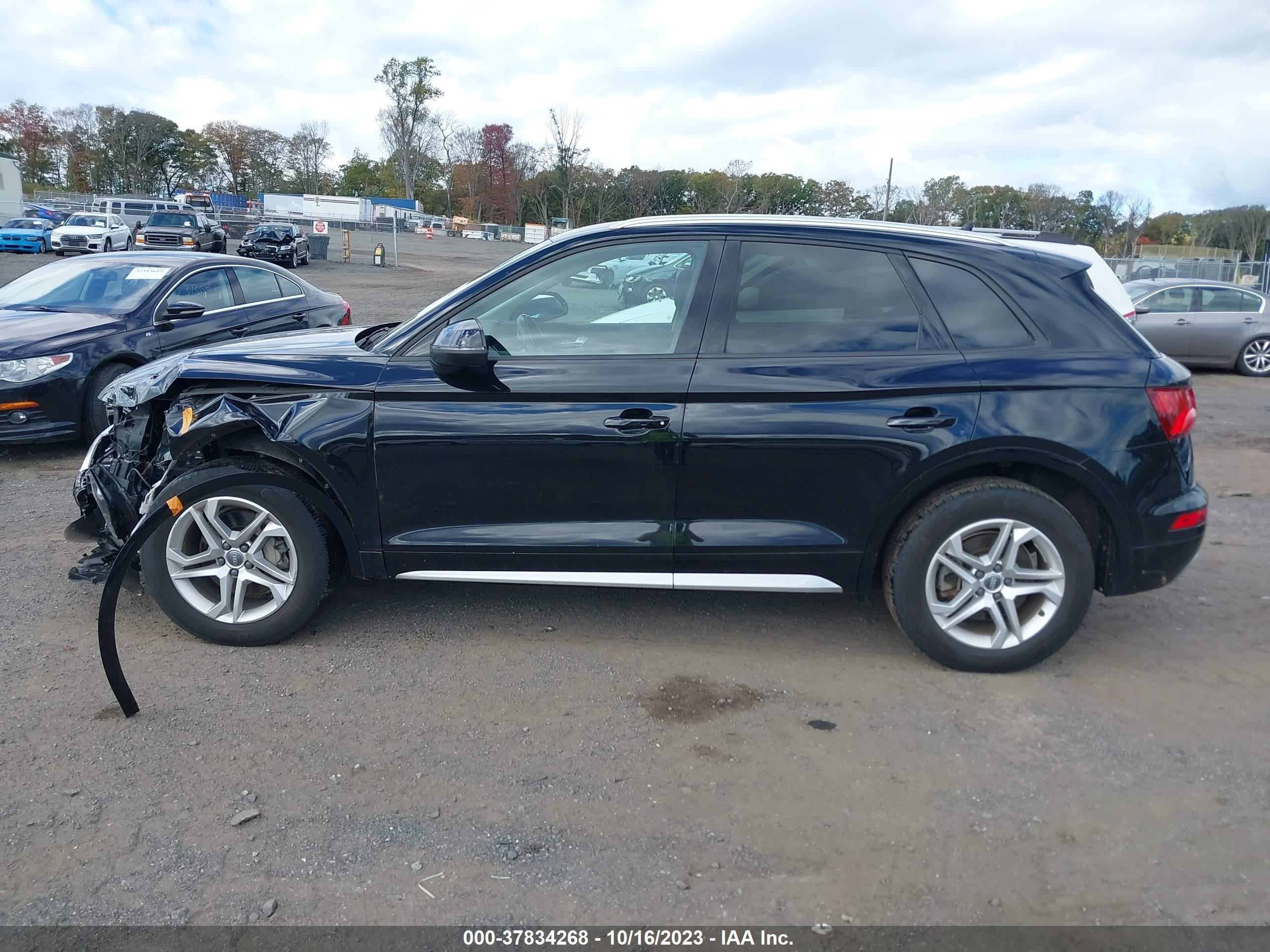 Photo 13 VIN: WA1ANAFY8J2108858 - AUDI Q5 