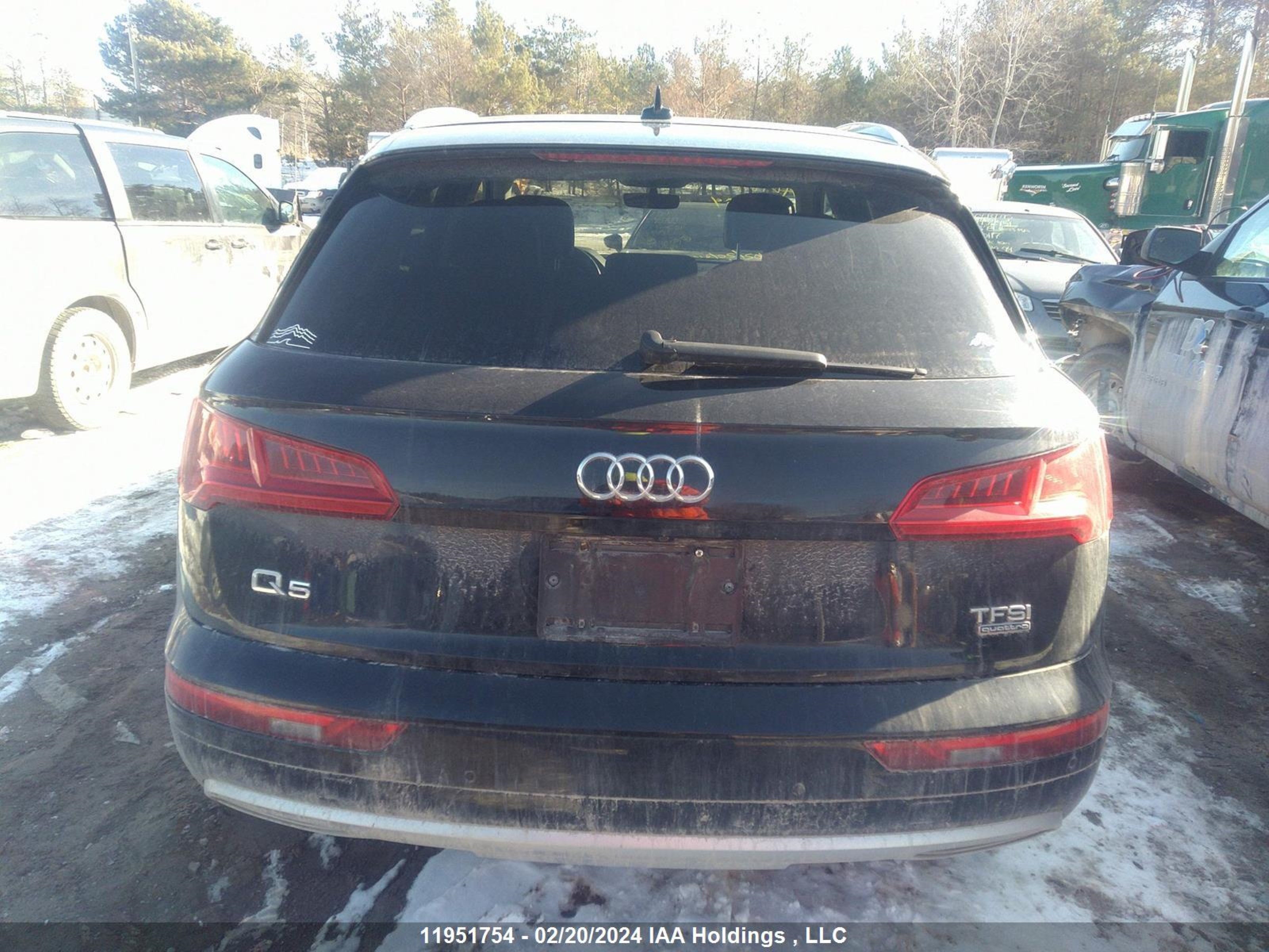 Photo 16 VIN: WA1BNAFY0J2003011 - AUDI Q5 