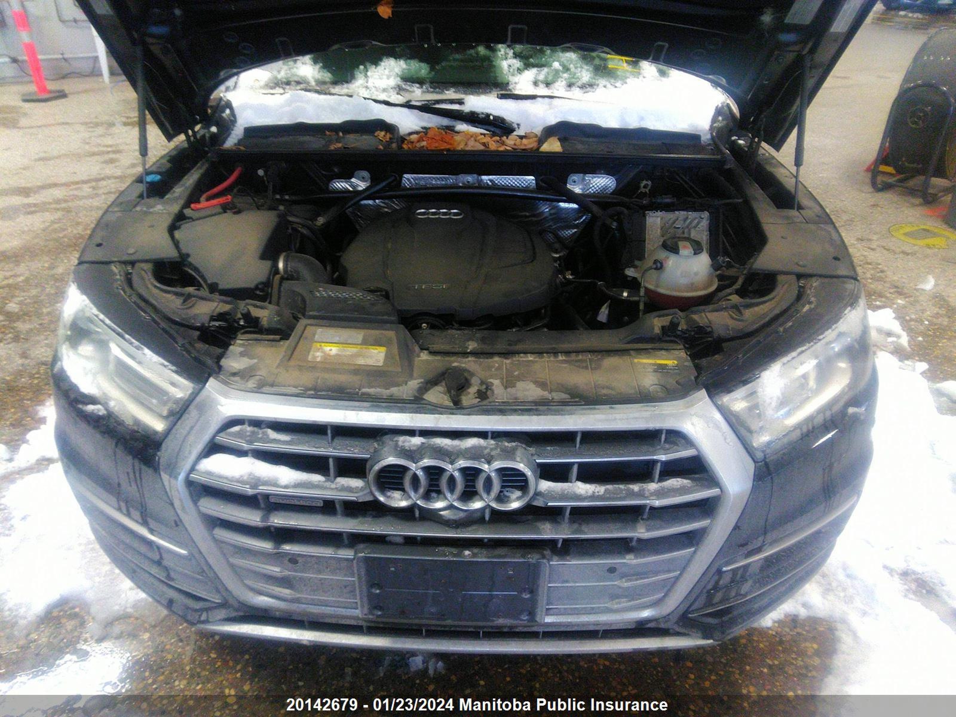 Photo 9 VIN: WA1BNAFY1J2074833 - AUDI Q5 