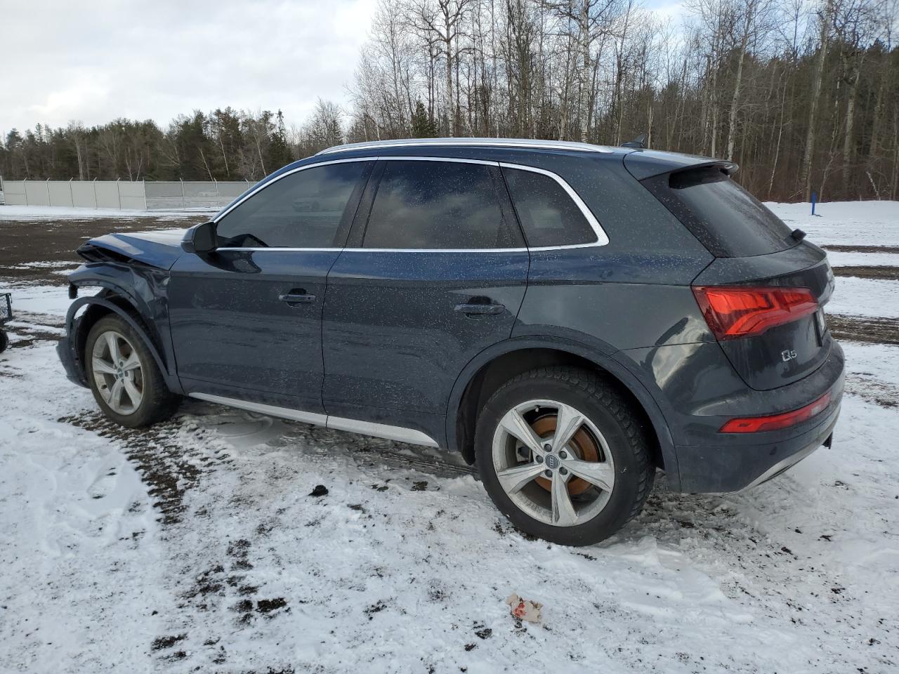 Photo 1 VIN: WA1BNAFY1L2030494 - AUDI Q5 