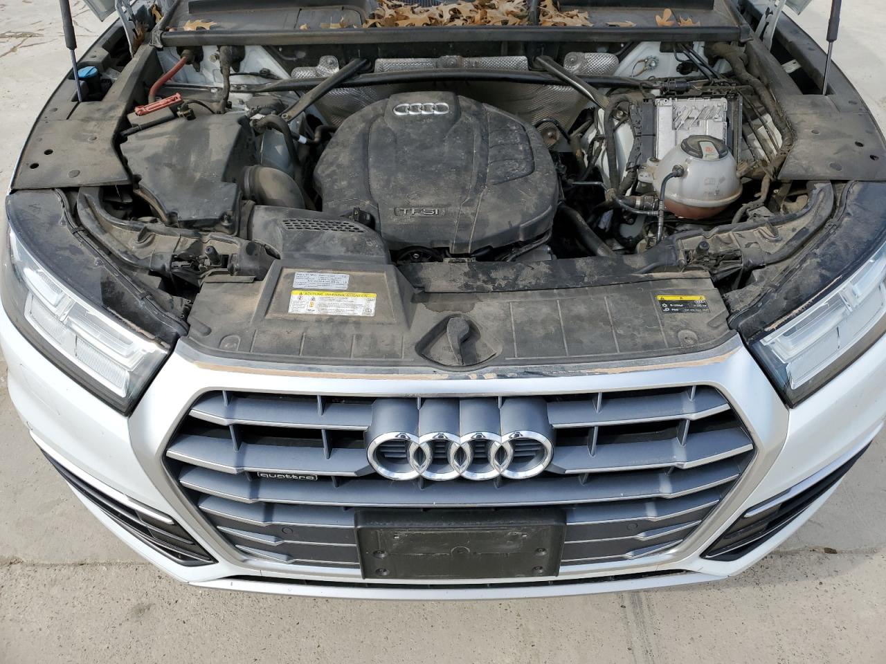 Photo 10 VIN: WA1BNAFY4K2028804 - AUDI Q5 