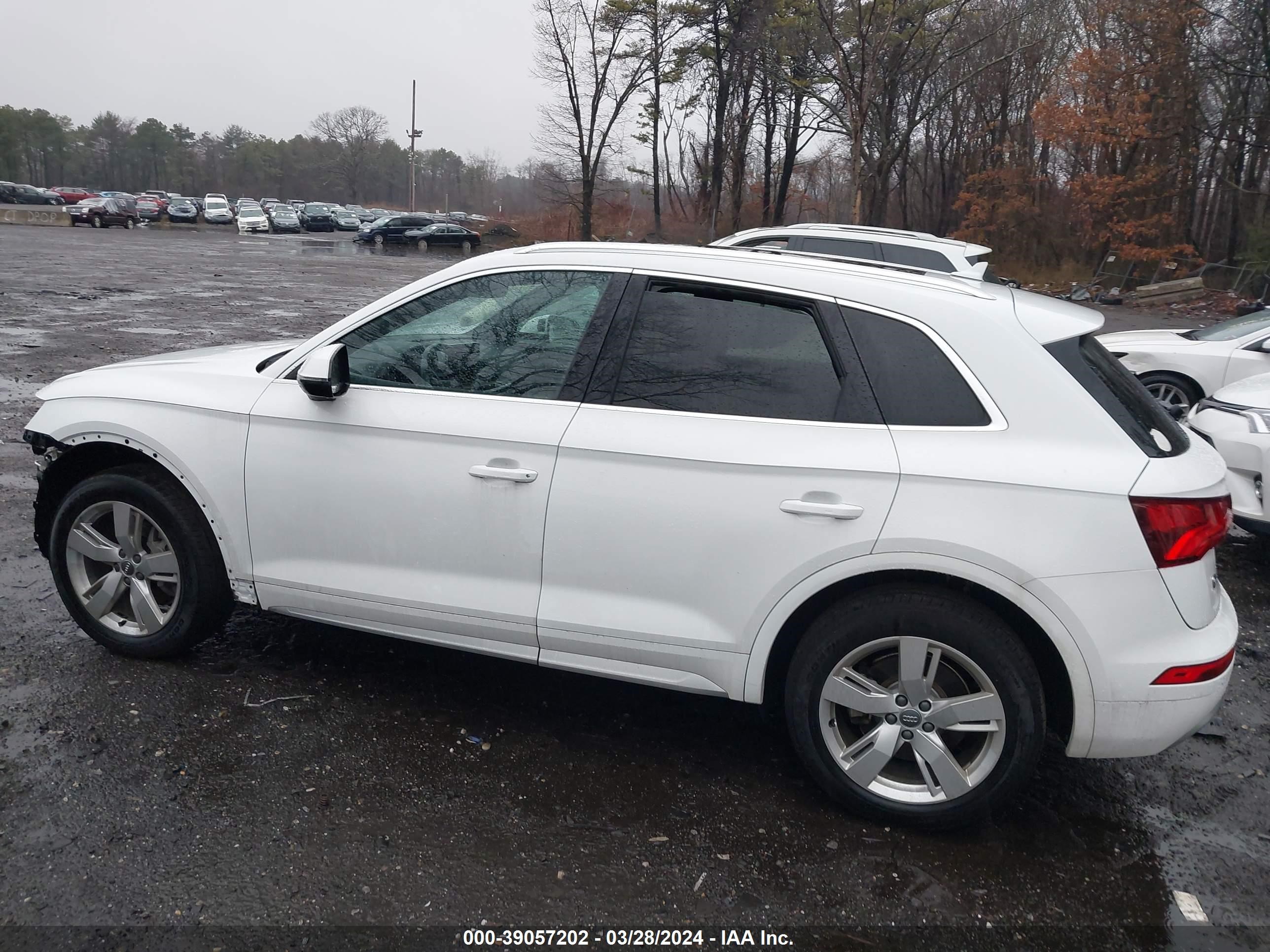 Photo 13 VIN: WA1BNAFY7J2237405 - AUDI Q5 