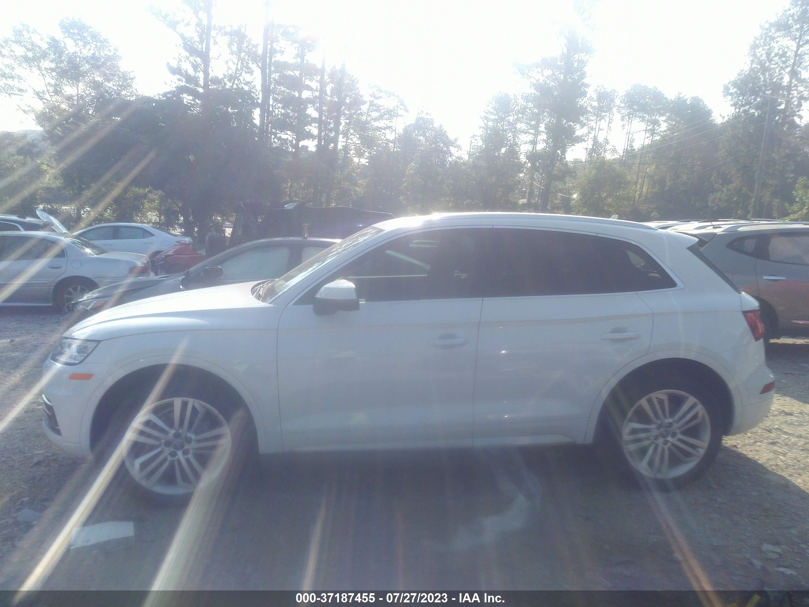 Photo 13 VIN: WA1BNAFY7K2084025 - AUDI Q5 