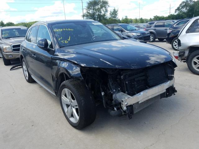 Photo 0 VIN: WA1BNAFY9J2083442 - AUDI Q5 