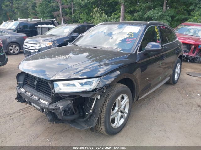 Photo 1 VIN: WA1BNBFY6J2023379 - AUDI Q5 