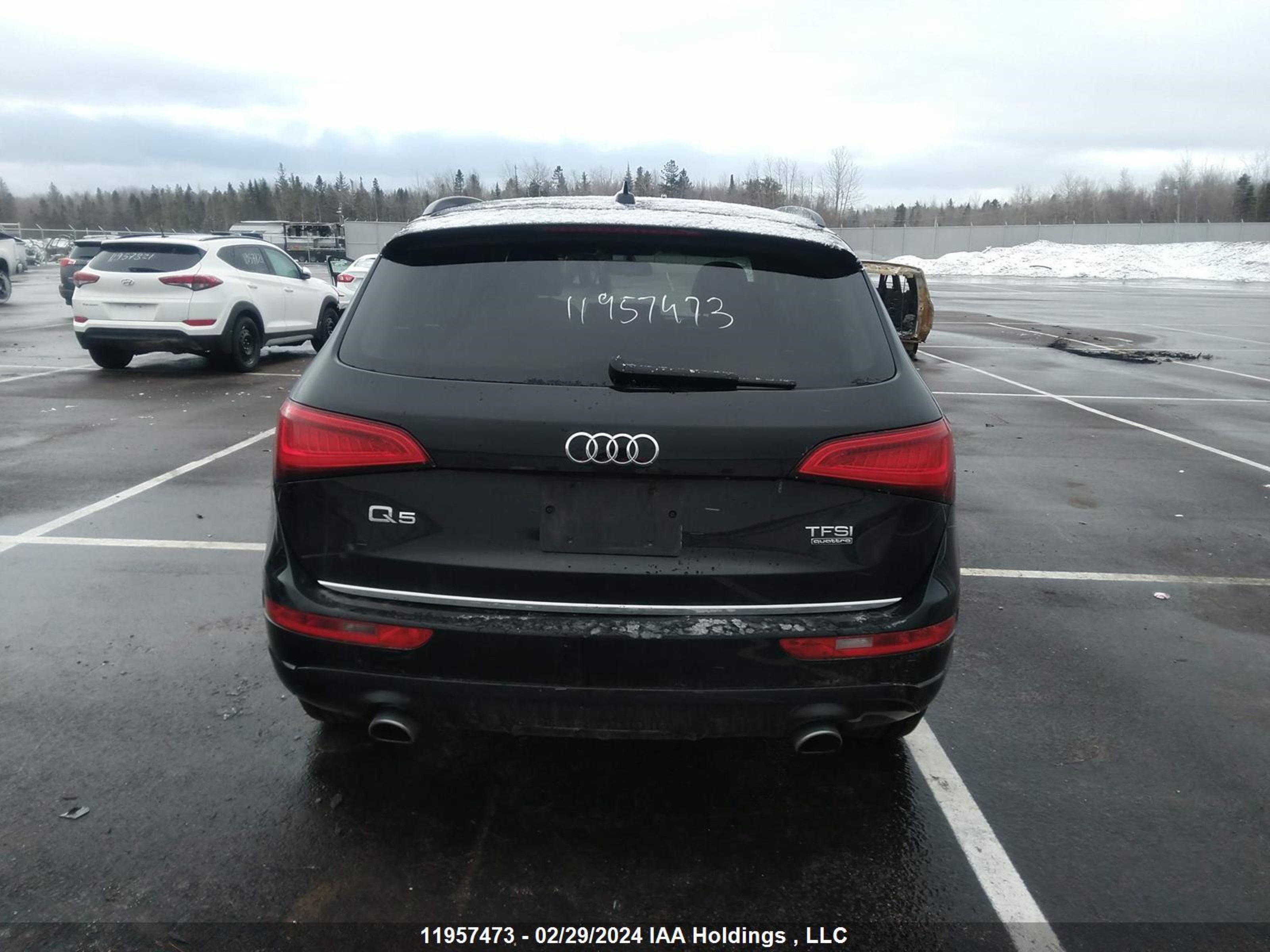 Photo 15 VIN: WA1C2AFP5GA109215 - AUDI Q5 