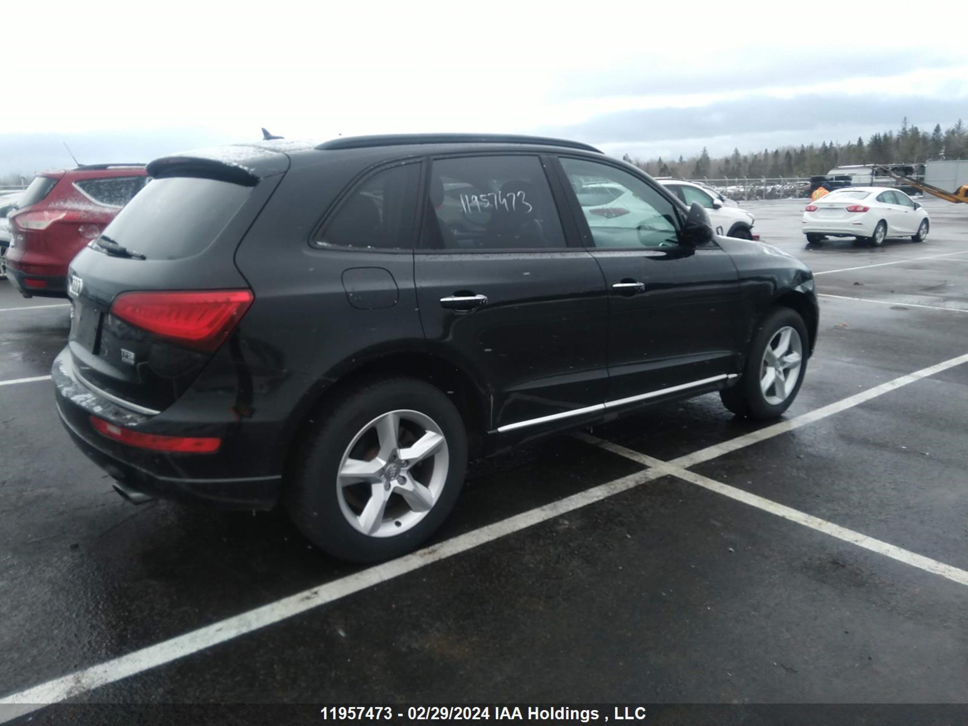 Photo 3 VIN: WA1C2AFP5GA109215 - AUDI Q5 