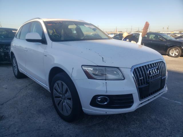 Photo 0 VIN: WA1C8AFP2DA009521 - AUDI Q5 