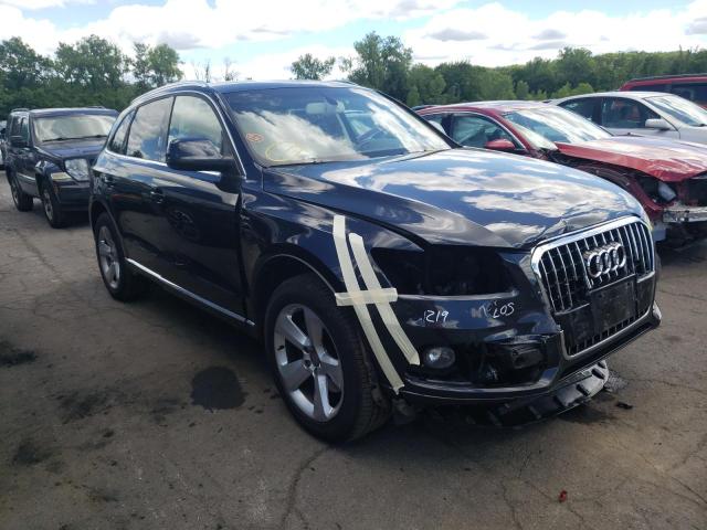 Photo 0 VIN: WA1C8AFPXDA076495 - AUDI Q5 