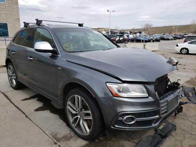 Photo 0 VIN: WA1CCAFP2GA047012 - AUDI SQ5 