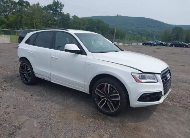 Photo 0 VIN: WA1CCAFP3GA018814 - AUDI SQ5 