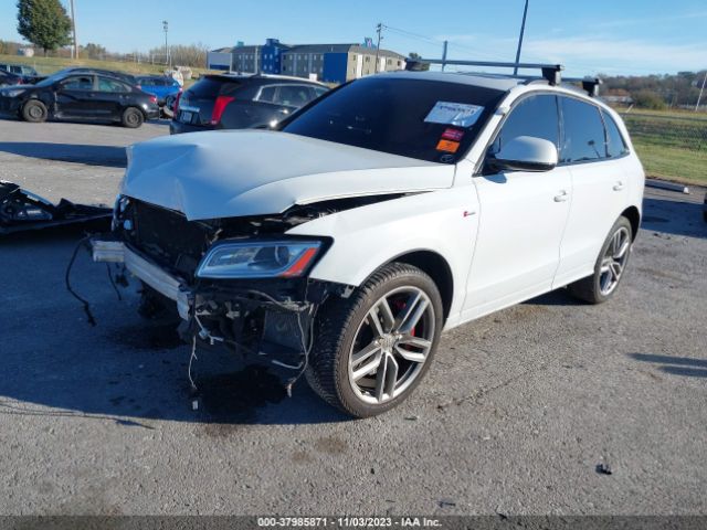 Photo 1 VIN: WA1CCAFP5GA034447 - AUDI SQ5 