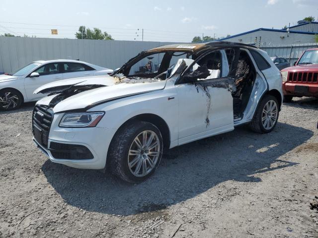 Photo 0 VIN: WA1CCAFP7GA044106 - AUDI SQ5 PREMIU 