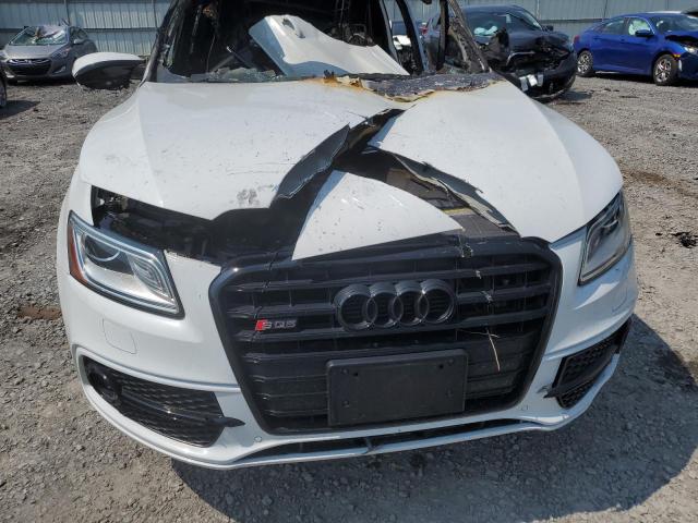 Photo 10 VIN: WA1CCAFP7GA044106 - AUDI SQ5 PREMIU 