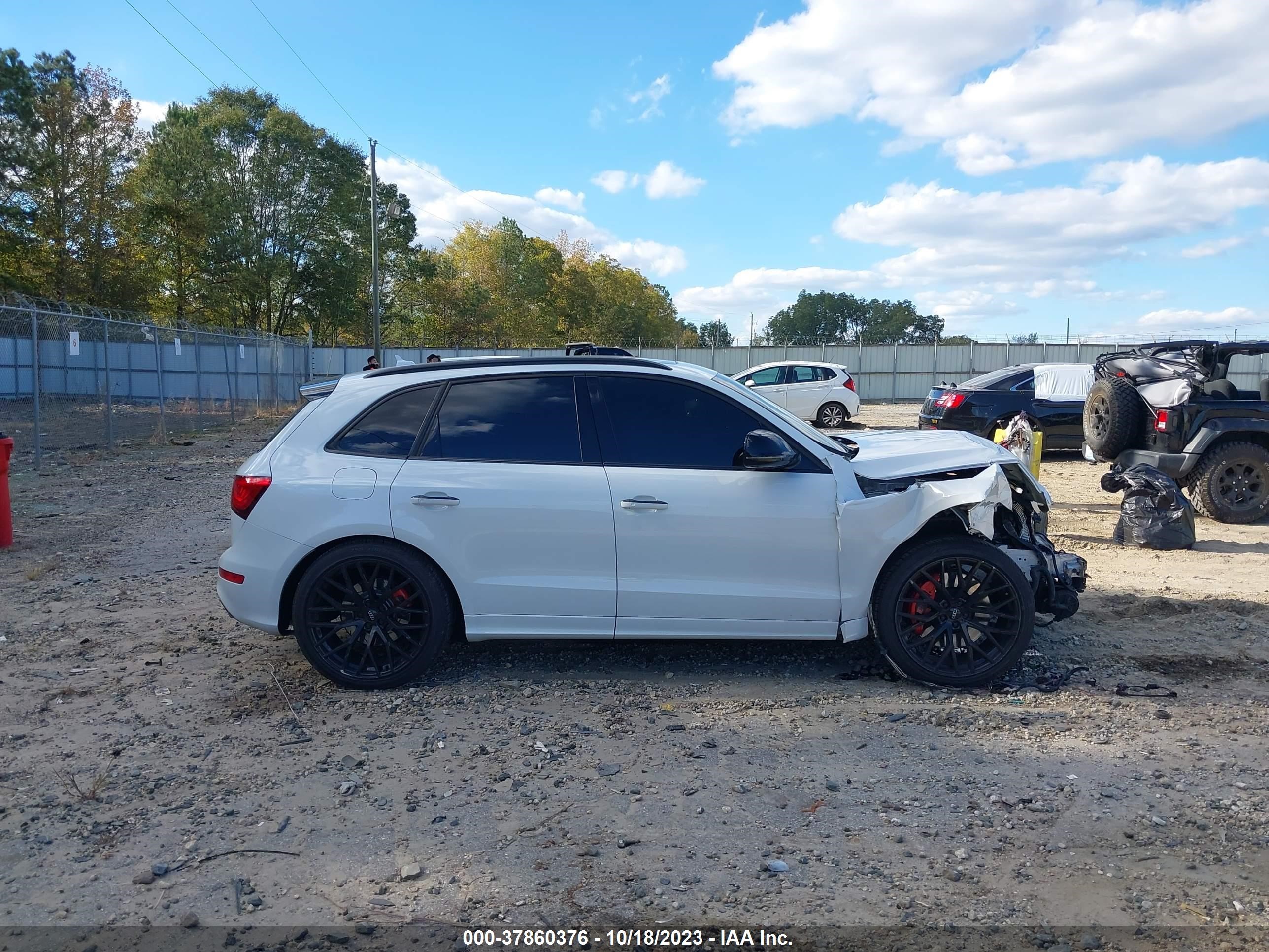 Photo 13 VIN: WA1CCAFP8HA020706 - AUDI SQ5 