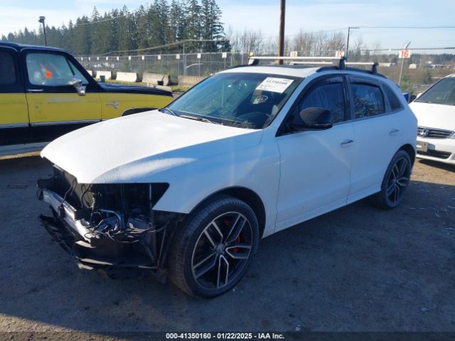 Photo 1 VIN: WA1CCAFP9HA094006 - AUDI SQ5 