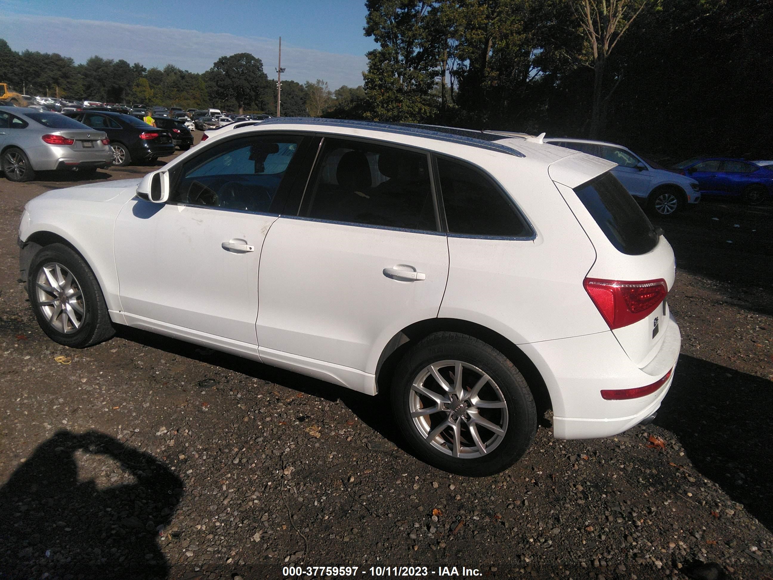 Photo 13 VIN: WA1CFAFP3CA002758 - AUDI Q5 