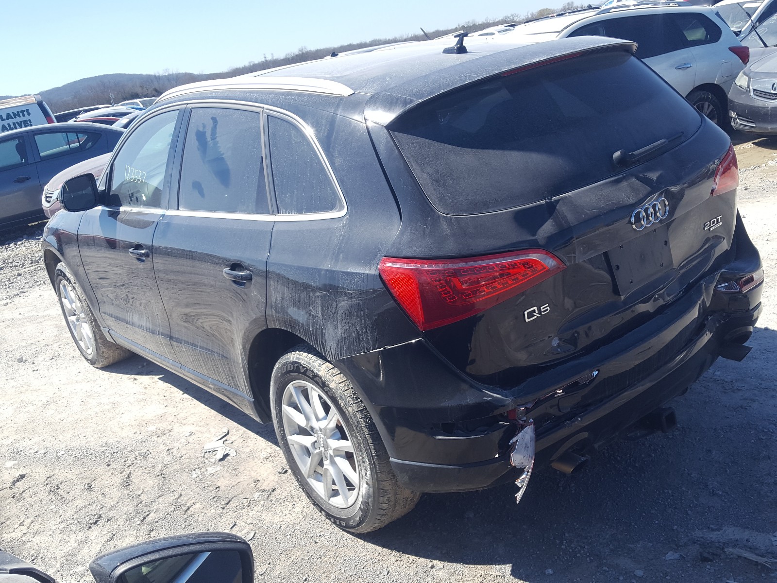 Photo 2 VIN: WA1CFAFP5CA044297 - AUDI Q5 