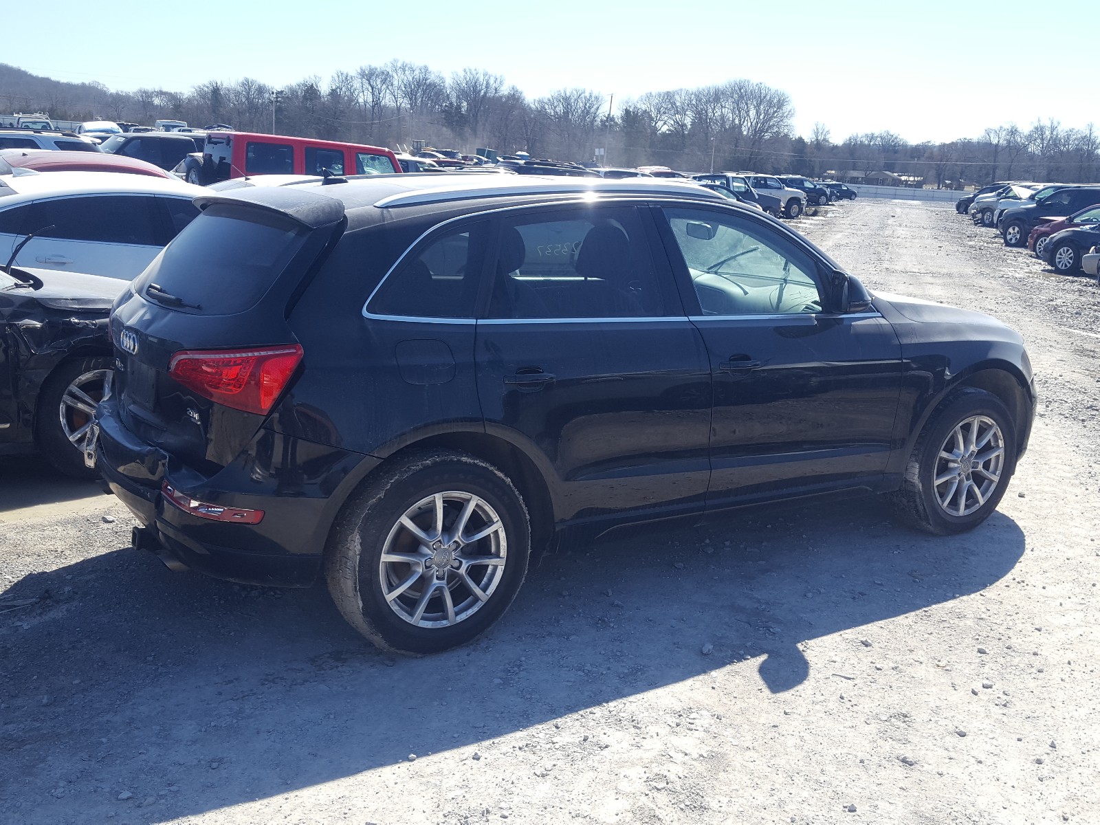 Photo 3 VIN: WA1CFAFP5CA044297 - AUDI Q5 