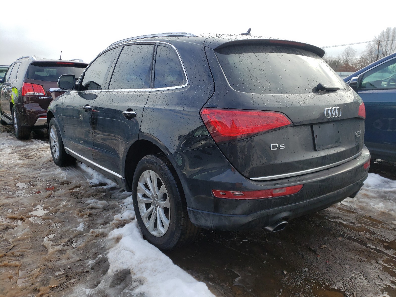 Photo 2 VIN: WA1CFAFP5FA021705 - AUDI Q5 