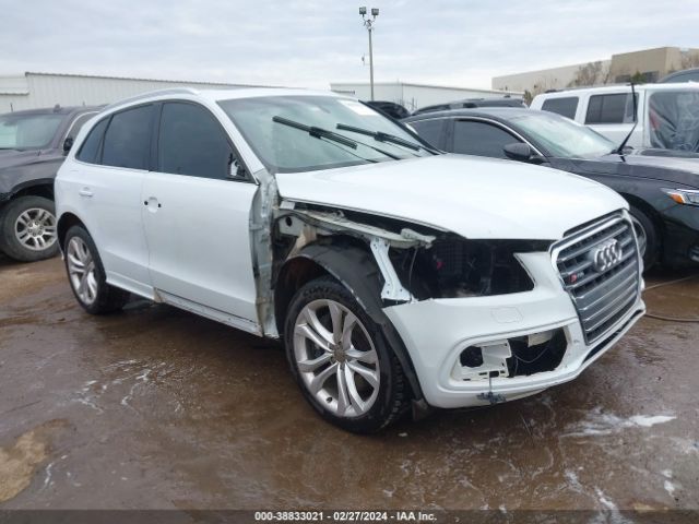 Photo 0 VIN: WA1CGAFP0EA014480 - AUDI SQ5 