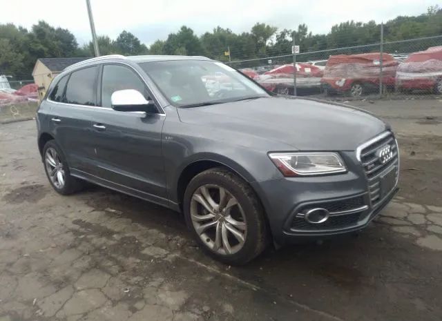 Photo 0 VIN: WA1CGAFP1FA109079 - AUDI SQ5 