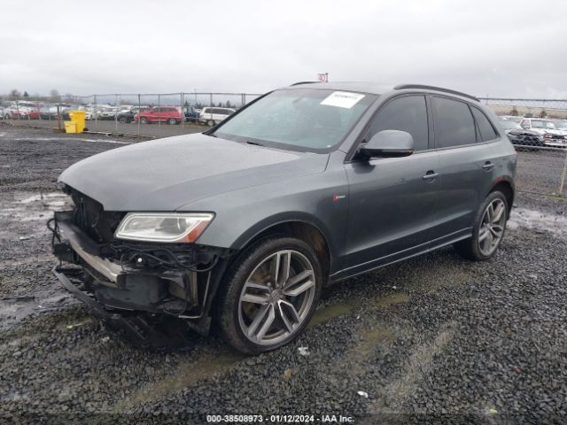 Photo 1 VIN: WA1CGAFP1FA114203 - AUDI SQ5 