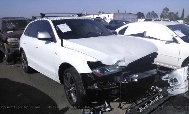 Photo 0 VIN: WA1CGAFP4EA066341 - AUDI SQ5 