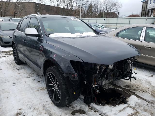 Photo 0 VIN: WA1CGAFP8EA046450 - AUDI SQ5 PREMIU 