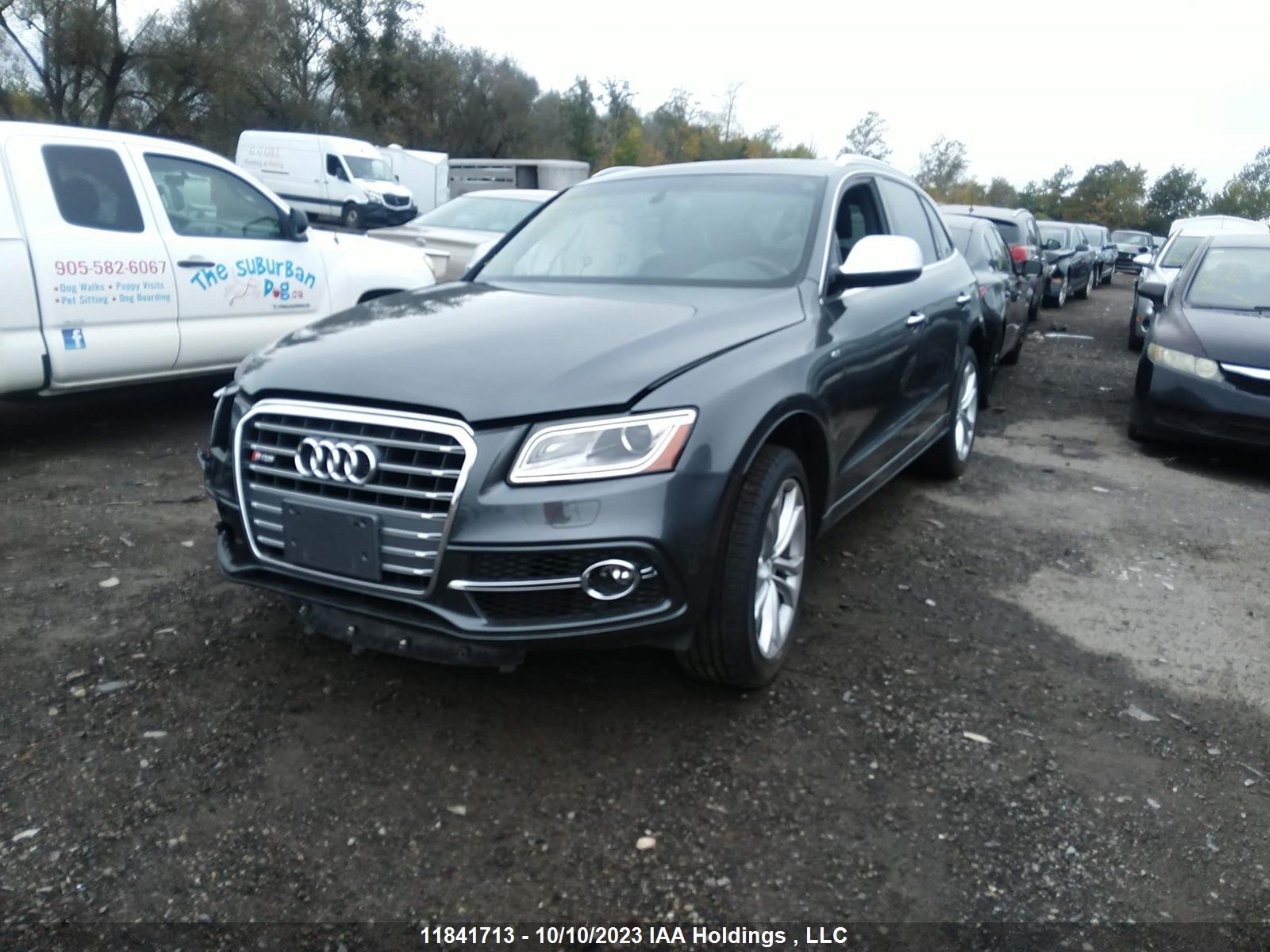 Photo 1 VIN: WA1CGCFPXFA144294 - AUDI SQ5 