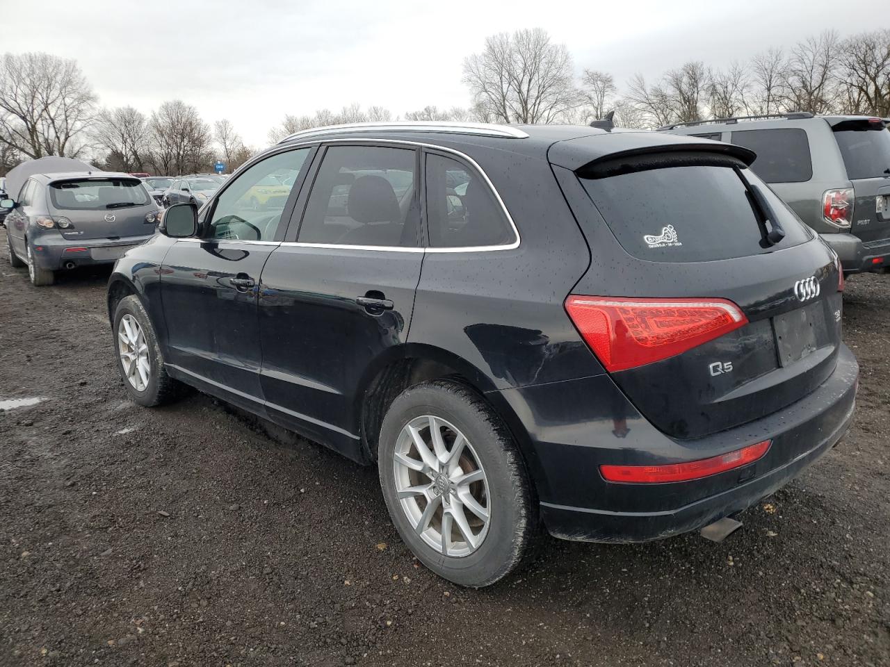 Photo 1 VIN: WA1CKAFP1AA048324 - AUDI Q5 