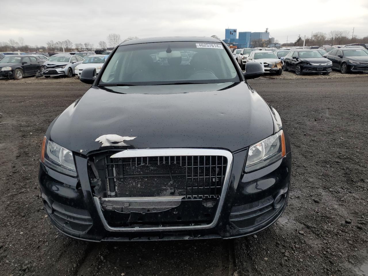 Photo 4 VIN: WA1CKAFP1AA048324 - AUDI Q5 