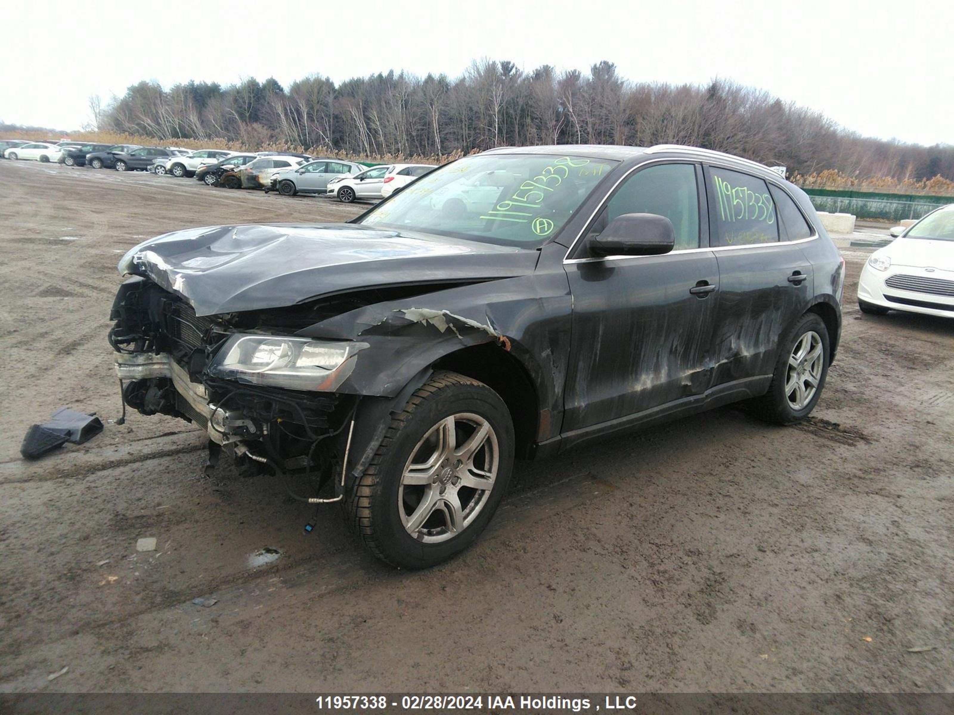 Photo 1 VIN: WA1CKCFP1AA046794 - AUDI Q5 