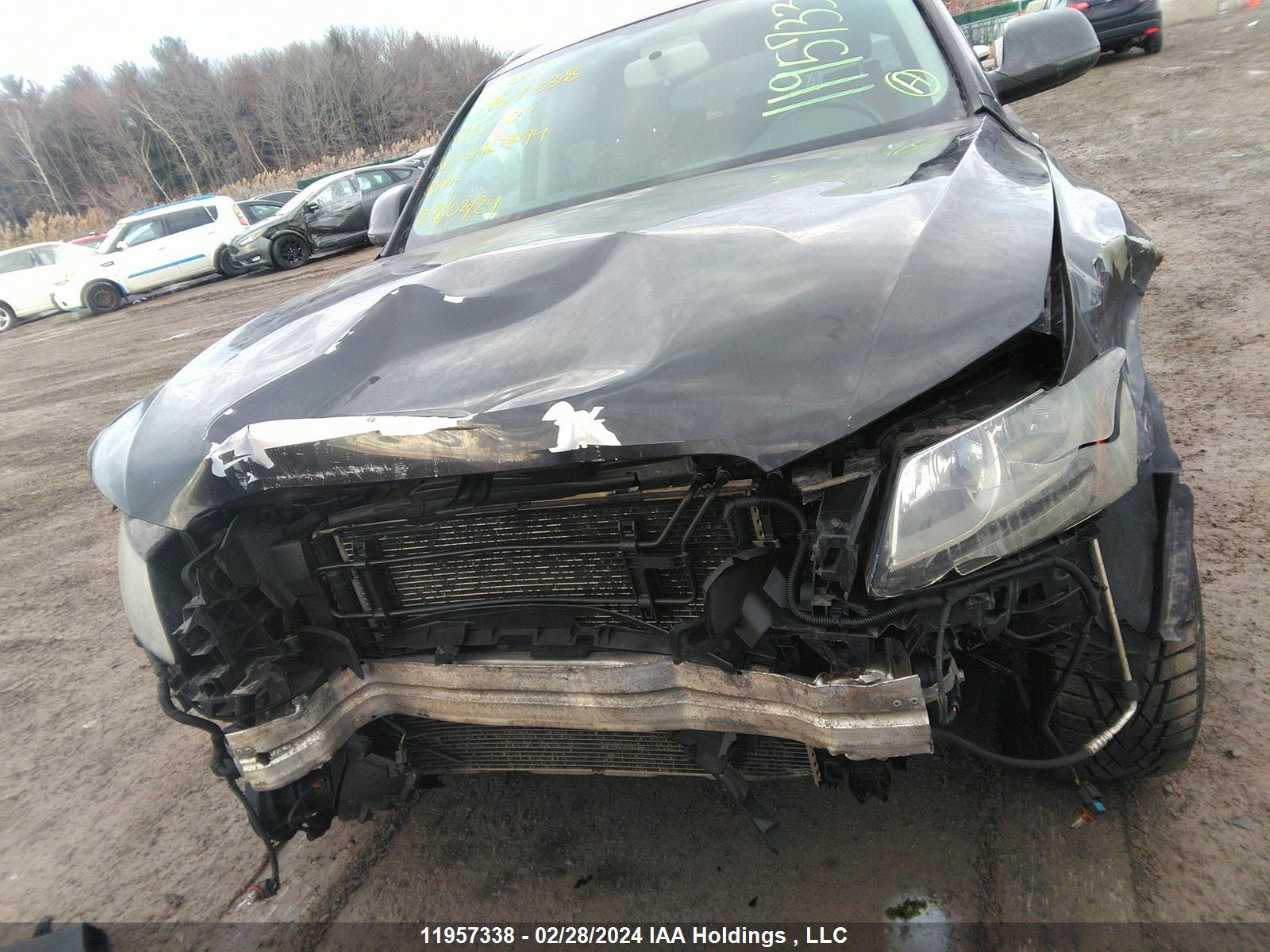 Photo 12 VIN: WA1CKCFP1AA046794 - AUDI Q5 