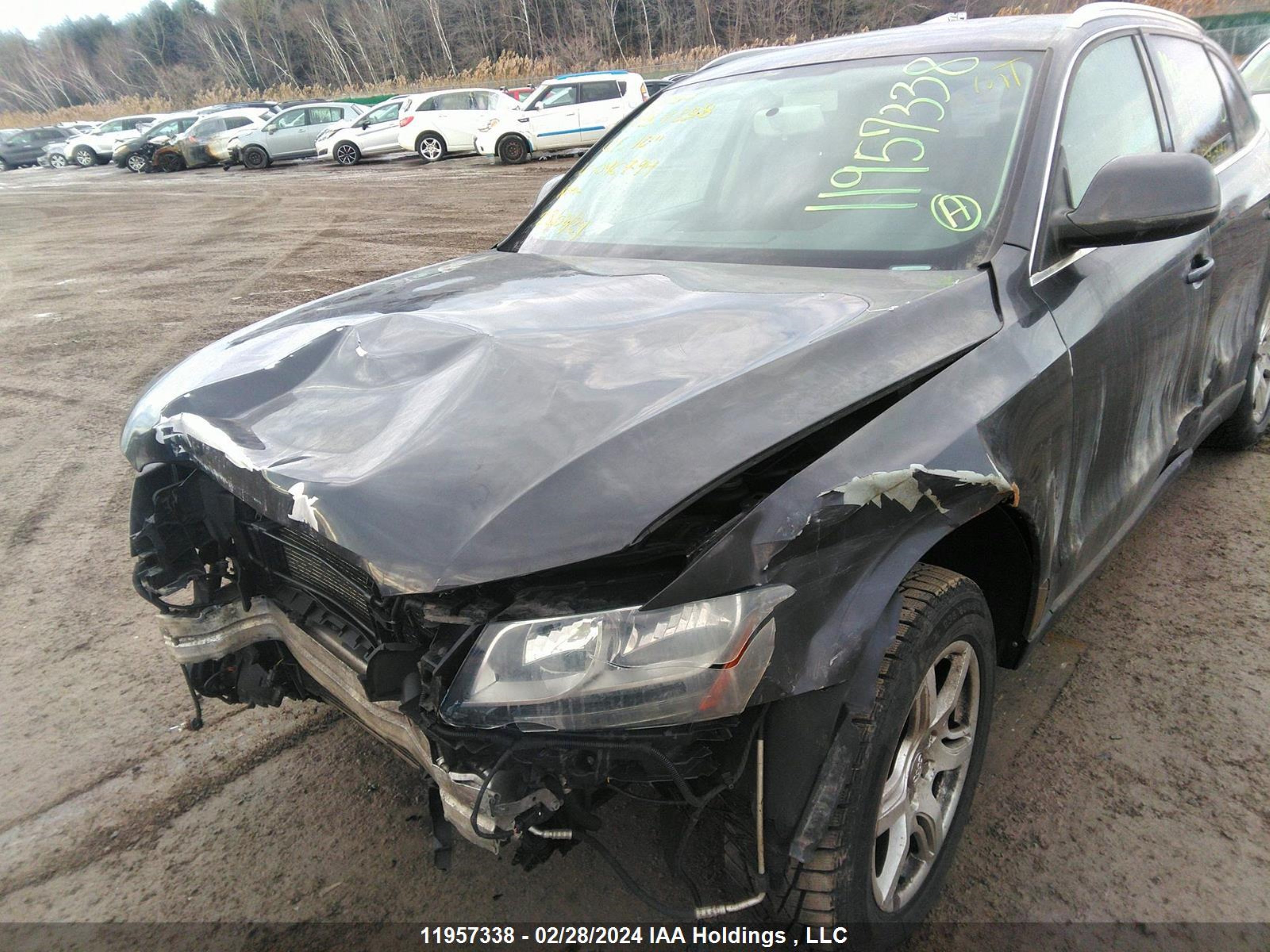 Photo 5 VIN: WA1CKCFP1AA046794 - AUDI Q5 