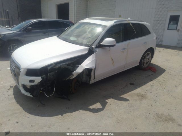 Photo 1 VIN: WA1D7AFP1HA031135 - AUDI Q5 