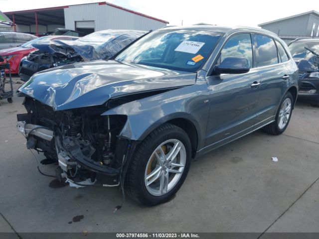 Photo 1 VIN: WA1D7AFP3GA080528 - AUDI Q5 