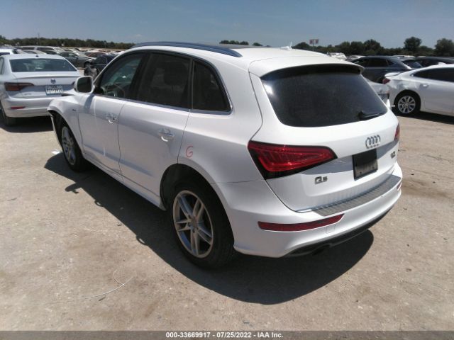 Photo 2 VIN: WA1D7AFP8GA044981 - AUDI Q5 