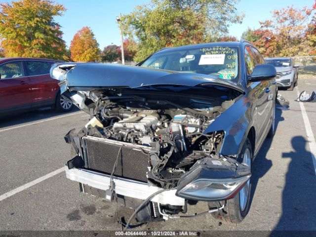 Photo 1 VIN: WA1DGAFP0FA069520 - AUDI Q5 