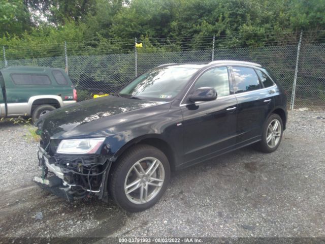 Photo 1 VIN: WA1DGAFP3FA056857 - AUDI Q5 