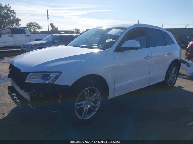 Photo 1 VIN: WA1DGAFP3FA116216 - AUDI Q5 